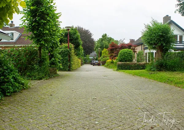 Straat van de week – foto 6 van 12