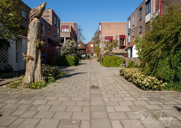 Straat van de week – foto 10 van 12