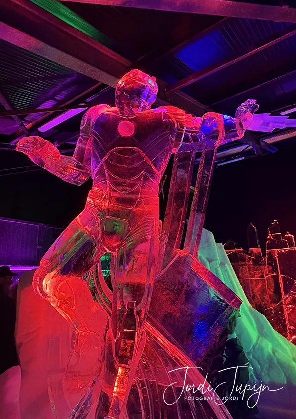 IJssculptuur - Biddinghuizen 2026 – foto 6 van 20