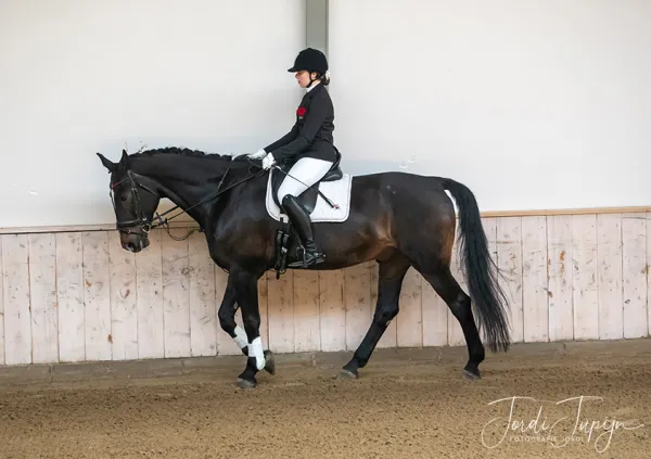 Paarden Carrousel Nederlands kampioenschap – foto 1 van 21