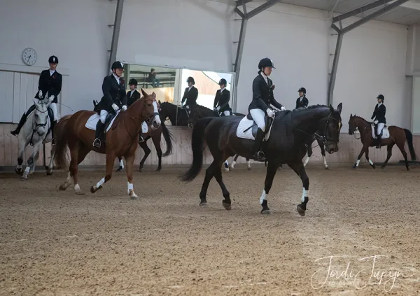 Paarden Carrousel Nederlands kampioenschap – foto 2 van 21
