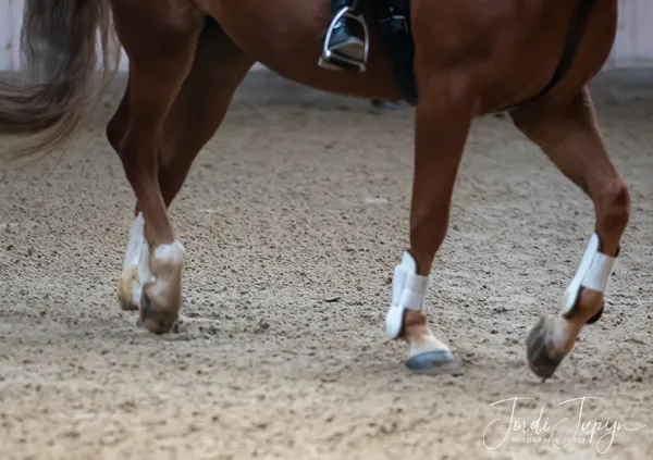 Paarden Carrousel Nederlands kampioenschap – foto 3 van 21