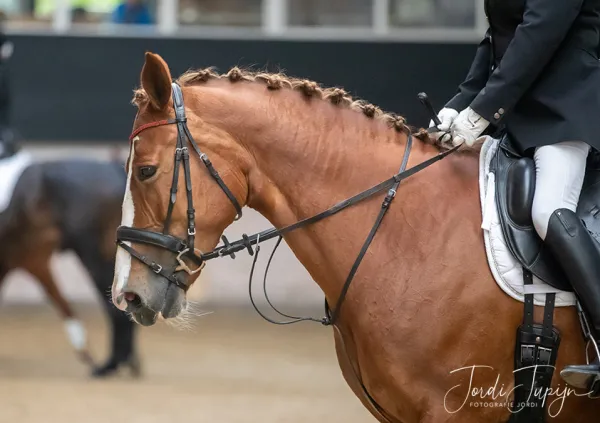 Paarden Carrousel Nederlands kampioenschap – foto 5 van 21