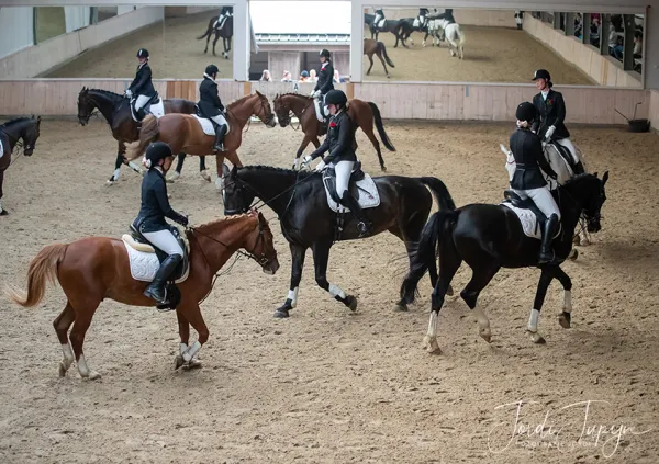 Paarden Carrousel Nederlands kampioenschap – foto 6 van 21