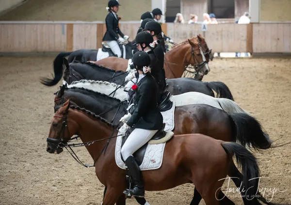 Paarden Carrousel Nederlands kampioenschap – foto 7 van 21
