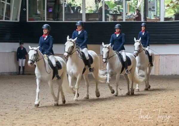 Paarden Carrousel Nederlands kampioenschap – foto 9 van 21