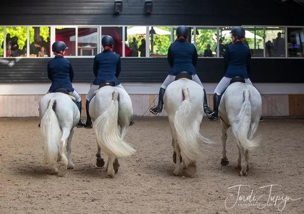 Paarden Carrousel Nederlands kampioenschap – foto 10 van 21