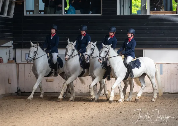 Paarden Carrousel Nederlands kampioenschap – foto 11 van 21