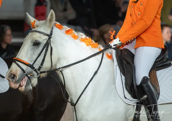 Paarden Carrousel Nederlands kampioenschap – foto 13 van 21