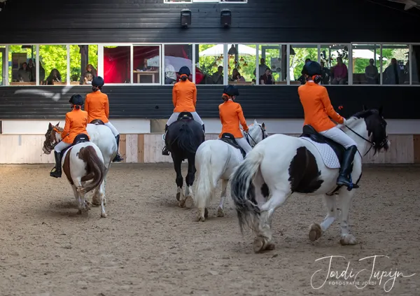 Paarden Carrousel Nederlands kampioenschap – foto 14 van 21