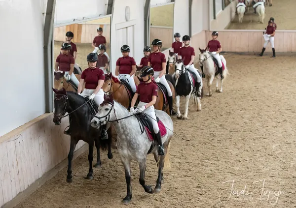 Paarden Carrousel Nederlands kampioenschap – foto 15 van 21