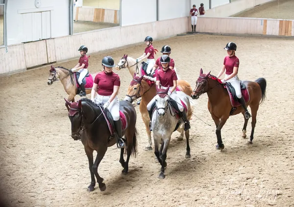 Paarden Carrousel Nederlands kampioenschap – foto 16 van 21
