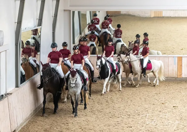 Paarden Carrousel Nederlands kampioenschap – foto 17 van 21