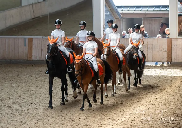 Paarden Carrousel Nederlands kampioenschap – foto 18 van 21