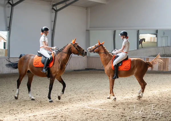 Paarden Carrousel Nederlands kampioenschap – foto 19 van 21
