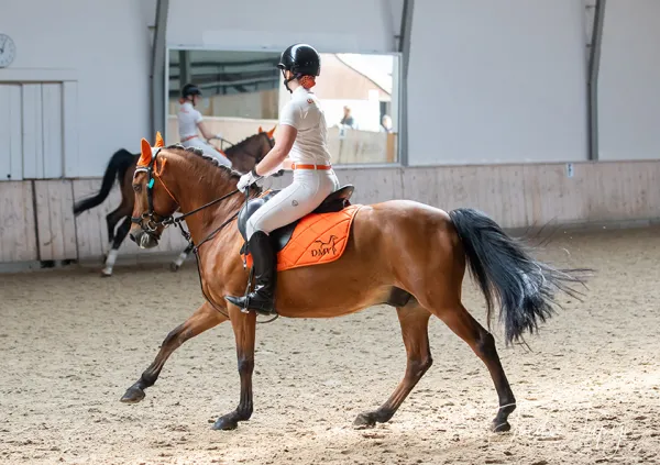 Paarden Carrousel Nederlands kampioenschap – foto 20 van 21