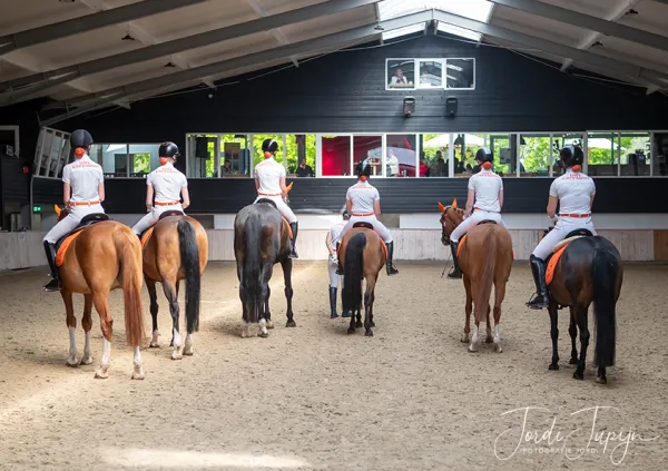 Paarden Carrousel Nederlands kampioenschap – foto 21 van 21